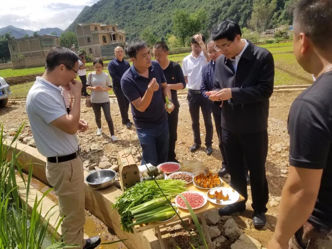 mg冰球突破奢华版(试玩)官方网站