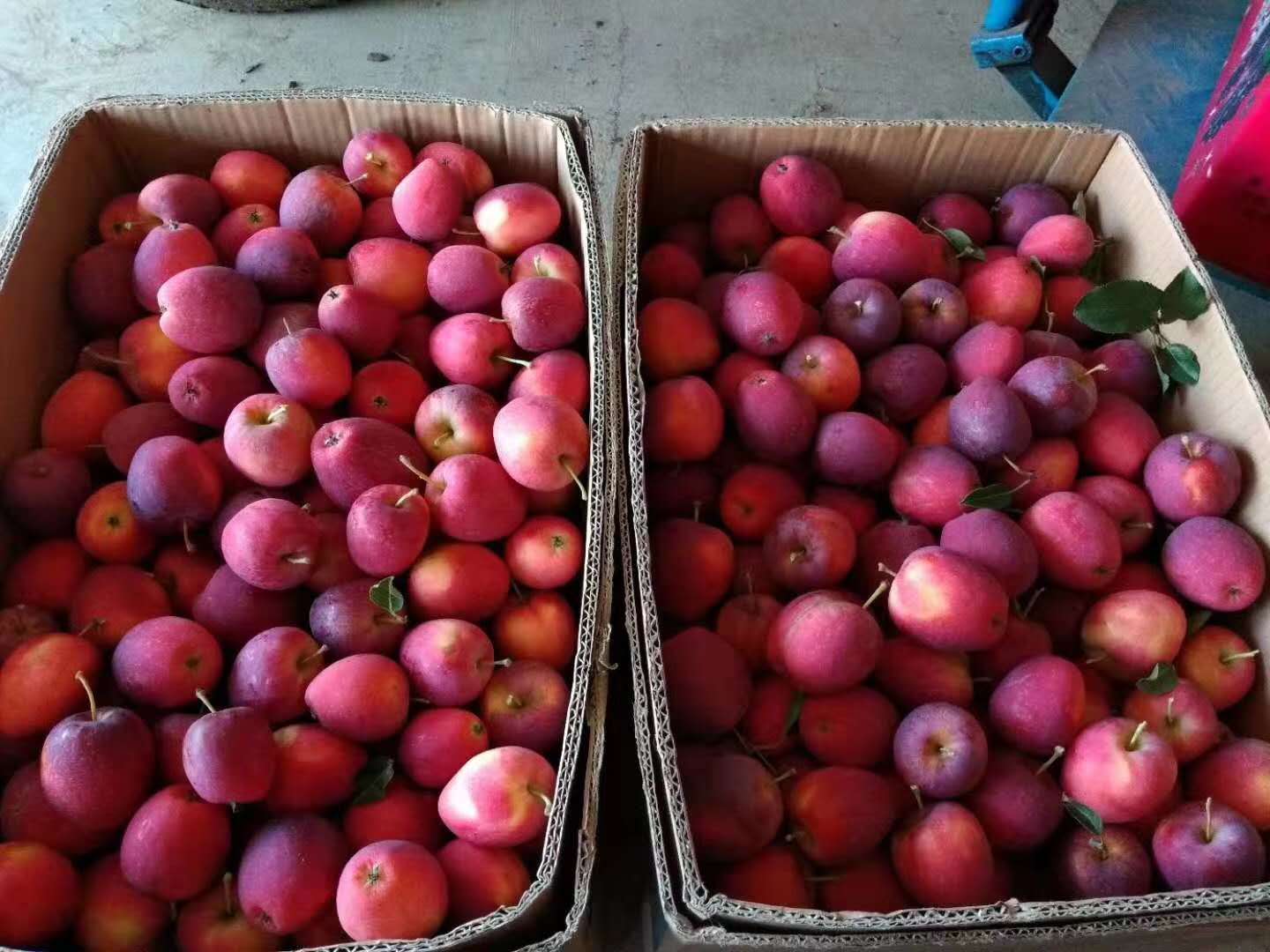 �ƶ�����3118��(�й���)���¹ٷ���վ