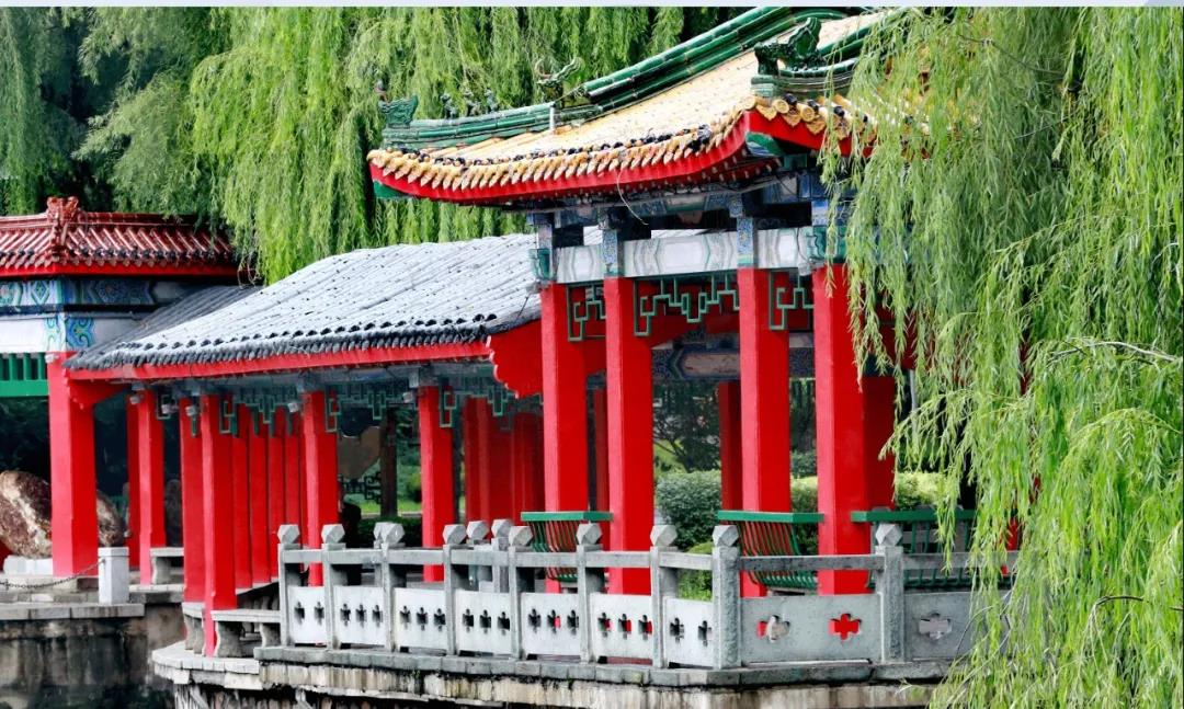 �ƶ�����3118��(�й���)���¹ٷ���վ