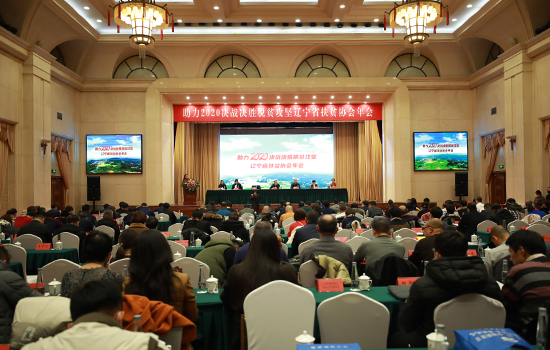 �ƶ�����3118��(�й���)���¹ٷ���վ