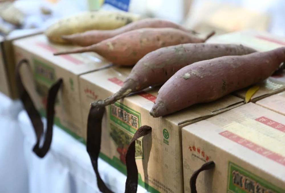 �ƶ�����3118��(�й���)���¹ٷ���վ