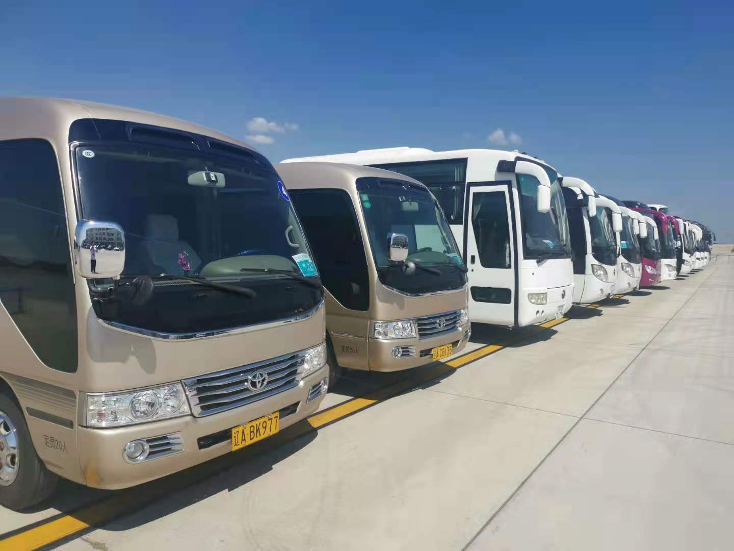 �ƶ�����3118��(�й���)���¹ٷ���վ