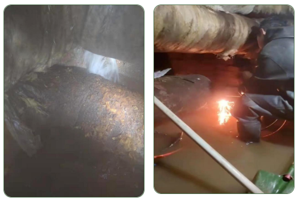 �ƶ�����3118��(�й���)���¹ٷ���վ