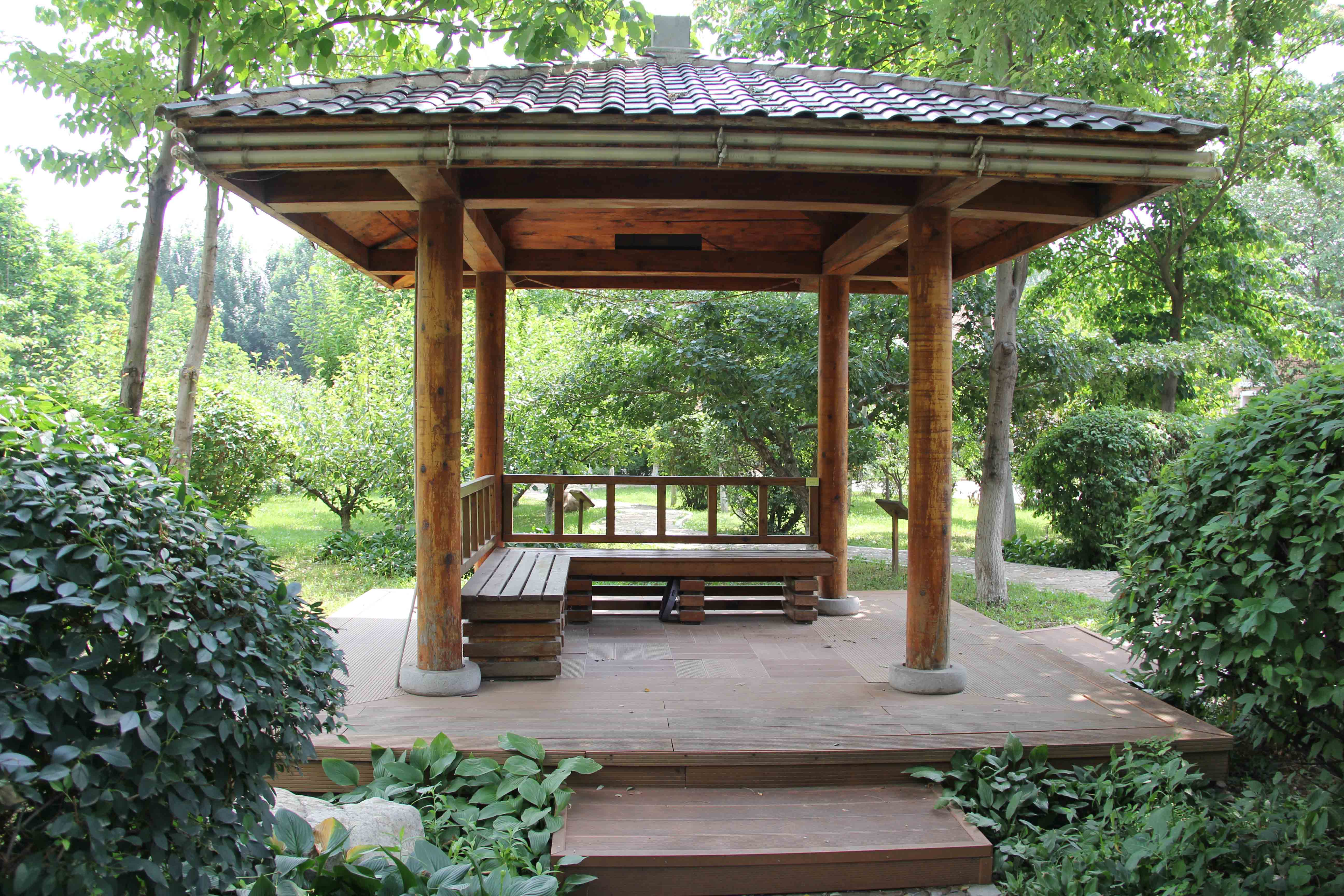 �ƶ�����3118��(�й���)���¹ٷ���վ