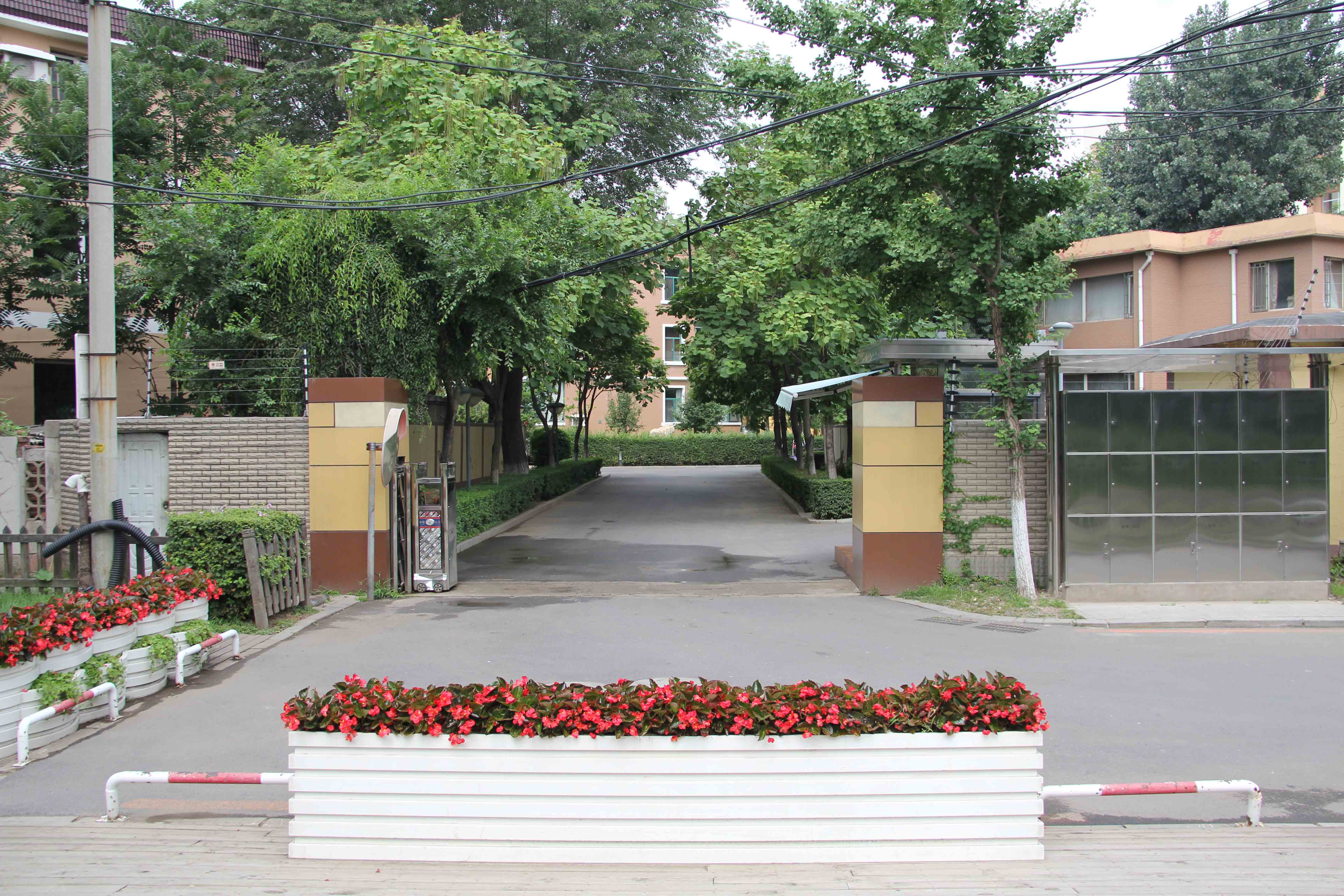 �ƶ�����3118��(�й���)���¹ٷ���վ