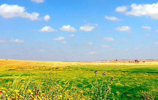 �����µķ���ů͸ϣ������Ұ